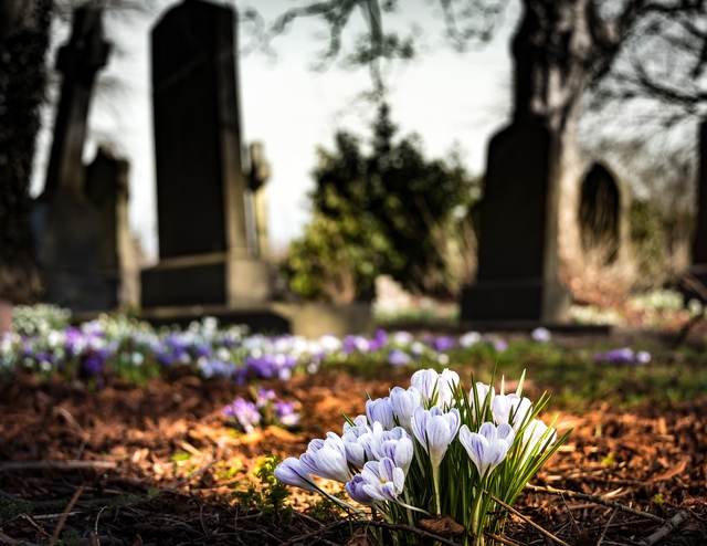 Churchyard Regulations Diocese of Carlisle